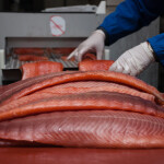 Smoked salmon undergoing processing