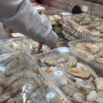 Frozen shrimp for sale