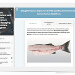 A still image from FAI's online training course on tilapia welfare indicators