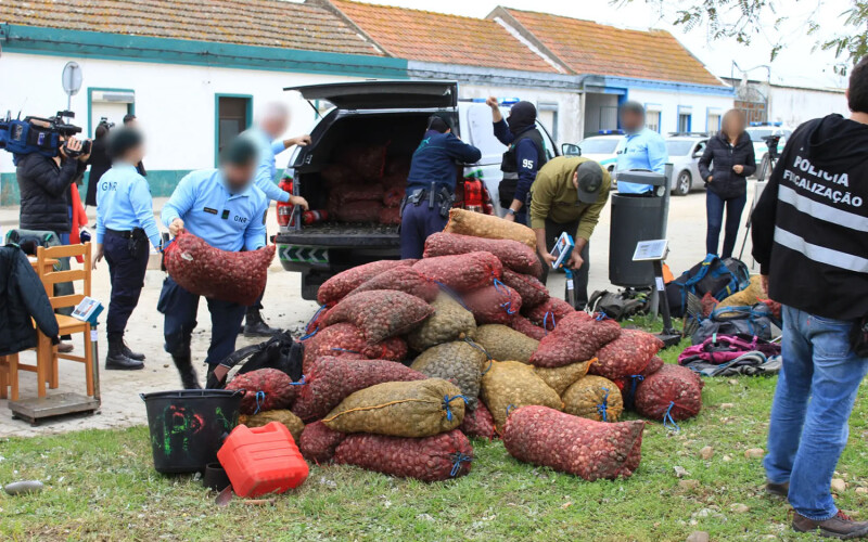 European authorities seizing USD 10 million worth of contaminated shellfish that organized crime groups sought to pass off as safe