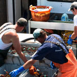 Lobstermen sorting lobsters in Maine