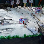 Fish on ice at a market