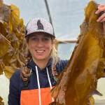 Cold Current Kelp Co-Founder Krista Rosen holding up a piece of kelp