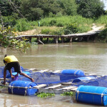 A fish farmer checking on his operations in Senegal
