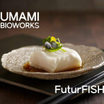 Cell-cultivated alternative white fish by UMAMI Bioworks | Photo courtesy of UMAMI Bioworks