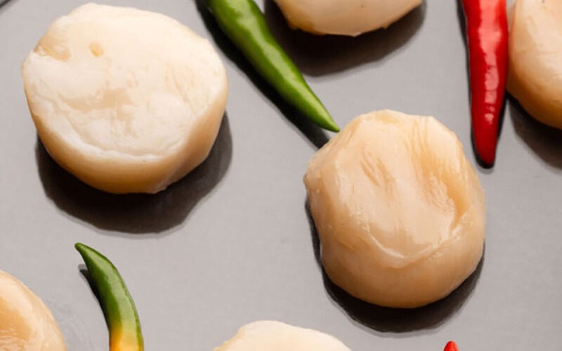 Cultivated fish-free scallops produced by Aqua Culture Foods\