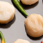 Cultivated fish-free scallops produced by Aqua Culture Foods\