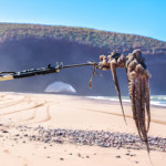 A fisherman with a recently caught octopus on a beach in Morocco.