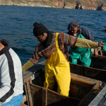 South African fishermen at work.