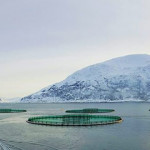 A Grieg salmon farm.