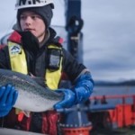 A Cermaq employee holding a salmon.