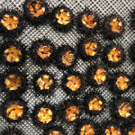 Sea Urchins raised by Urchinomics.