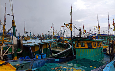The fishing fleet in Chennai, India.