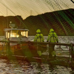Two AKVA Group workers walk along the edge of a salmon aquaculture net pen.
