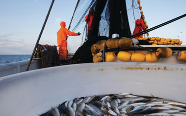 Fishermen working on a fishing boat.