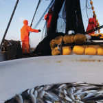 Fishermen working on a fishing boat.