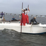 Mississippi oystermen harvesting oysters.