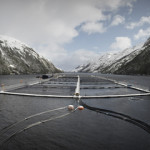 A salmon net pen located in an inlet between two mountain ranges in Chile.