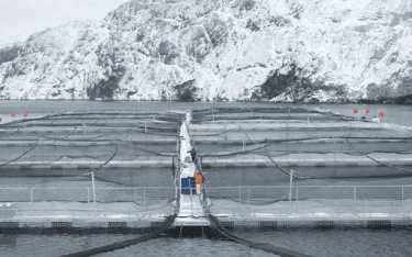 A Nova Austral salmon farm in Chile.