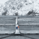 A Nova Austral salmon farm in Chile.