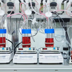 The lab-growing process used by IntegriCulture Inc., one of the companies involved in cell-based seafood production.