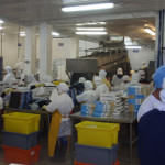 Employees working in a Santa Priscila shrimp processing plant.