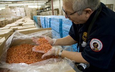 An FDA employee inspecting a shipment of shrimp.
