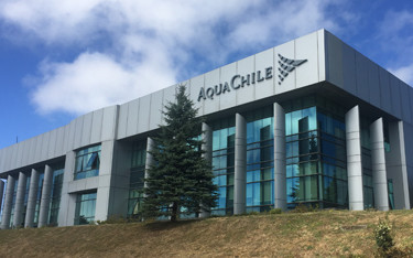 AquaChile's headquarters.