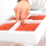 Benchmark Holdings has raised USD 27.6 million through a share issue ahead of a listing on the Oslo Stock Exchange following a positive fiscal year.