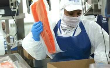 A Blumar worker packages a fillet of salmon.