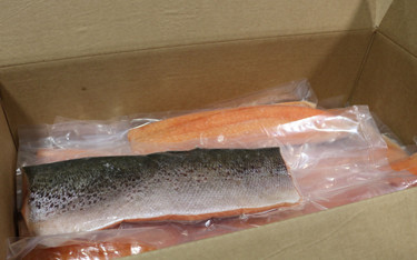 A box of AquAdvantage salmon fillets.