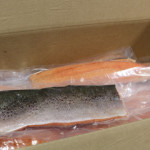 A box of AquAdvantage salmon fillets.