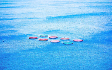 An offshore aquaculture operation.