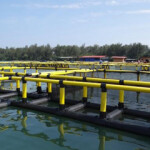 Hiseaton's aquaculture operations in Brunei