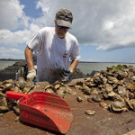 NOAA Fisheries recommends 40 projects for USD 11 million in grant funding