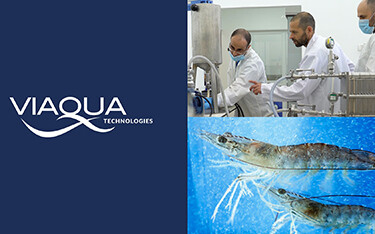 Biotech firm ViAqua aims to improve shrimp health and combat disease with its RNA-particle platform.