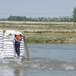 The Aquaculture Stewardship Council (ASC) launched a new feed standard aimed at feed mills and aquafeed ingredients providers.