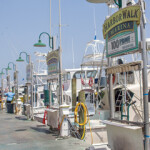 A row of charter boat operators along the ocean in the Gulf of Mexico