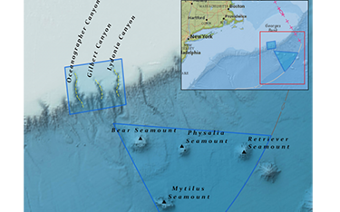 Commercial fishing restrictions on the Northeast Canyons and Seamounts National Monument could be reinstated.