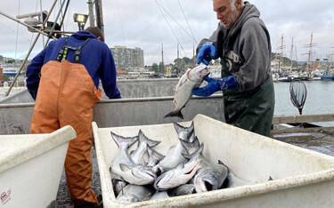 Mike McGowan and Steve Schwartz off-load California king salmon at Fisherman's Wharf for the first deliveries of the 2021 summer commercial salmon season in San Francisco.