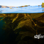 S2G Ventures has announced its initial five investments.