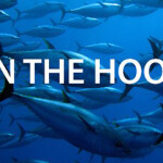 The On The Hook logo