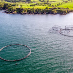 Net Pens located off the coast of Ireland