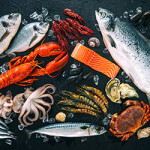 An assortment of seafood species.