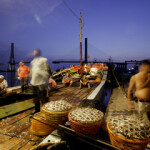 The port of Zhoushan, China, one of the country's top landing sites for squid.