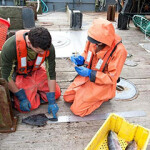 NOAA Fisheries observers measuring the length of a fish