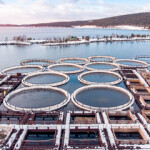 Russia’s Federal Agency for Fisheries will lease 143 sites for aquaculture in 2021.