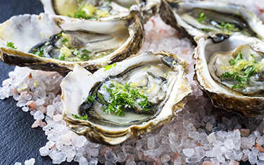 Fresh Pacific oysters on ice.