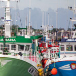Vessels in the European Union's fishing fleet in harbor.