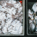 Squid for sale in Xiamen, China.